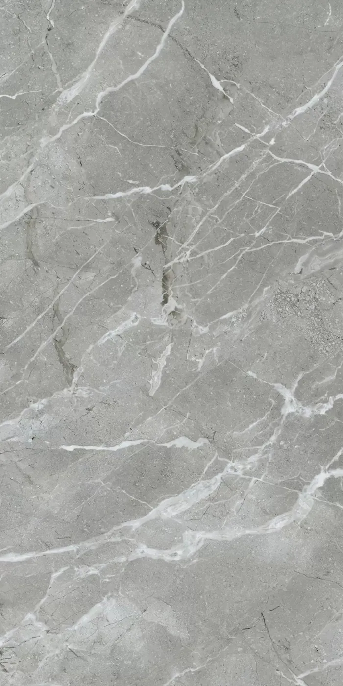 Silkmarble Бреча Серый Матовый 60x120